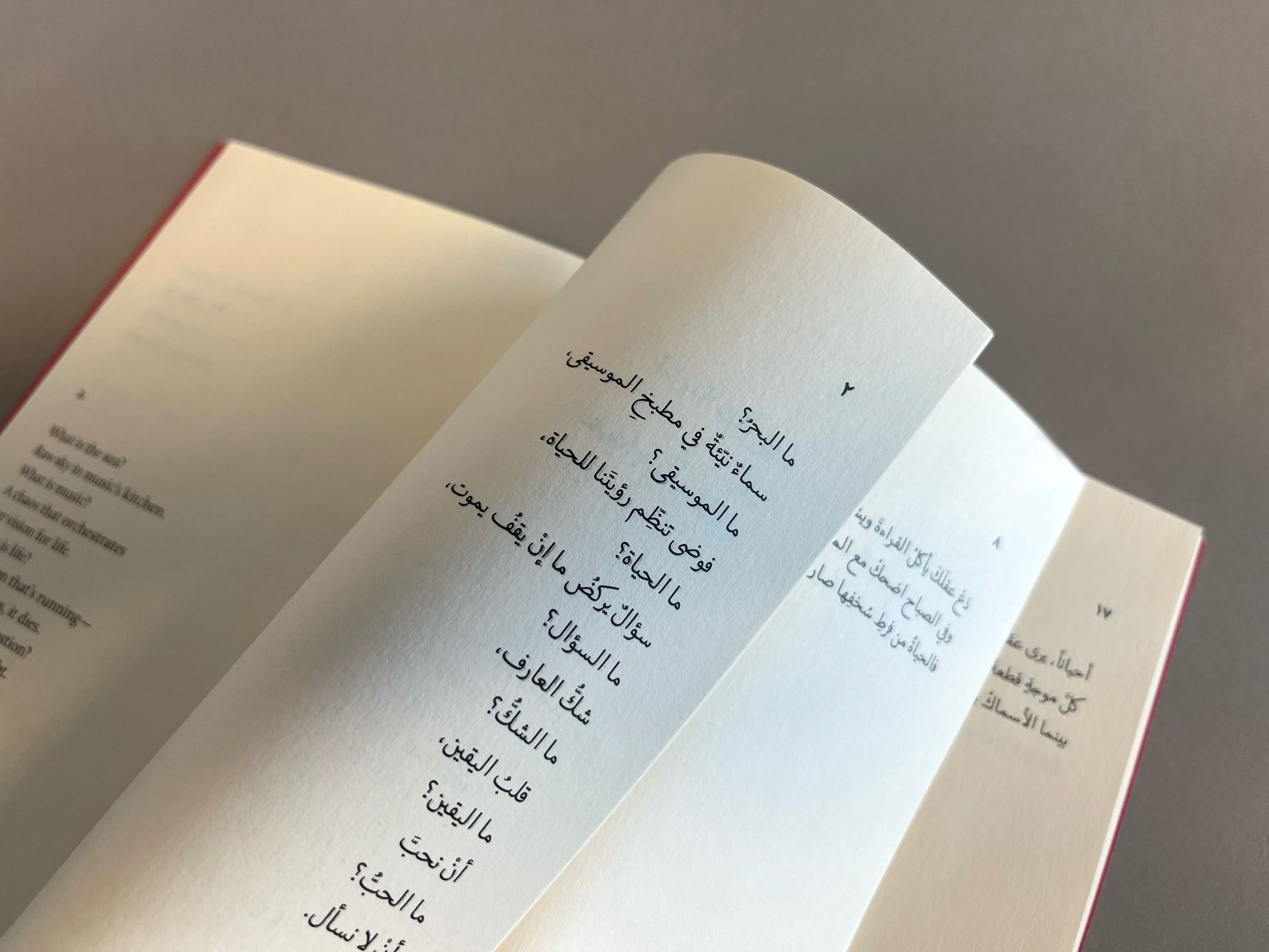 M. Mujed, The Book of Trivialities - Skein Press